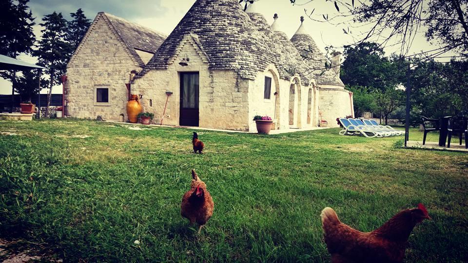 B&B Masseria Nardelli ロコロトンド エクステリア 写真